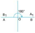 Symmetry Chapter Notes | Mathematics Class 6 (SSC Board)