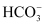 NCERT Solutions Class 11 Chemistry - The p-Block Elements