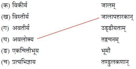 अल्पानामपि वस्तूनां संहतिः कार्यसाधिका NCERT Solutions | Sanskrit  (Deepakam) Class  8  -  New  NCERT - Class 8
