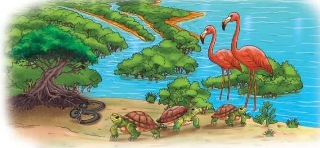 Journey of a River Chapter Notes | Our Wondrous World  Class 5 - New NCERT