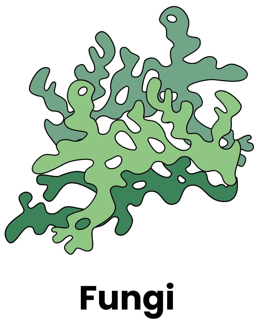 Living World and Classification of Microbes Chapter Notes | General Science Class 8 (Maharashtra Board)