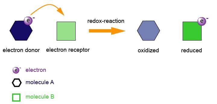 Redox Reactions Class 11 Notes Chemistry Chapter 7