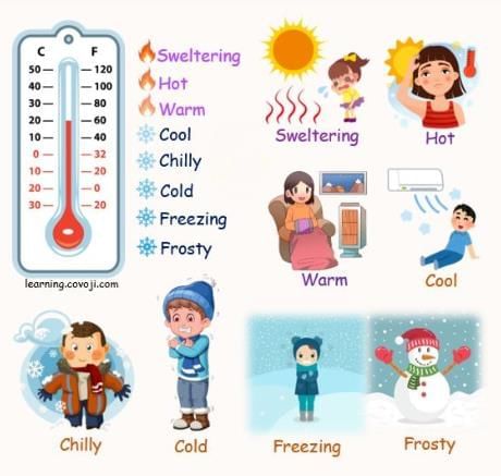 Class 3 Science - Measurement - CBSE Worksheets