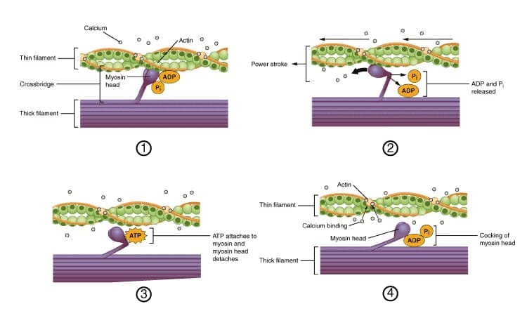 6.3 Relaxation Process