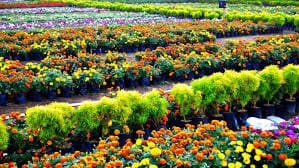 Tourism in Andhra Pradesh