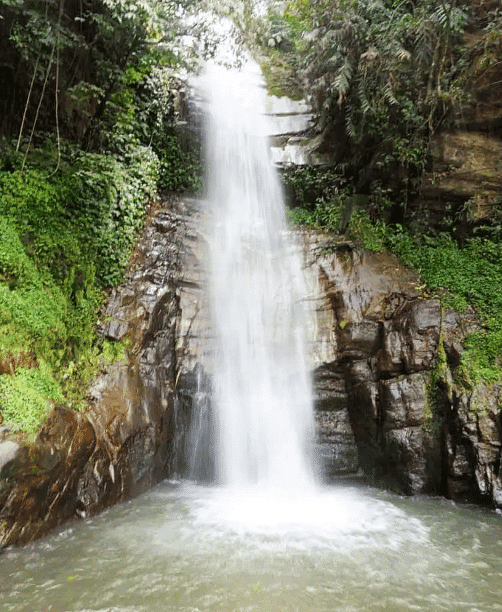 Waterfalls in West Bengal and Major Wetlands | WBCS Preparation: All Subjects - WBCS (West Bengal)