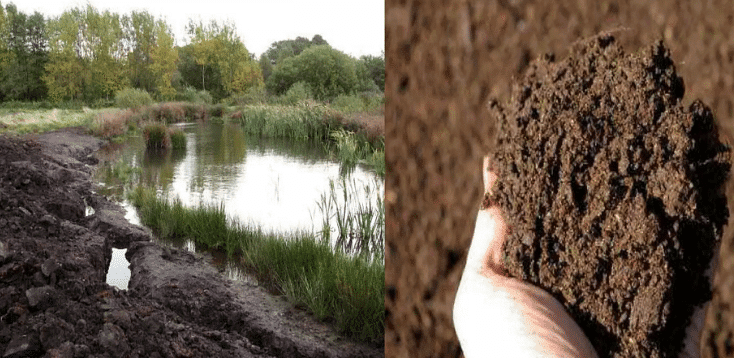Soil types in India - UPSC