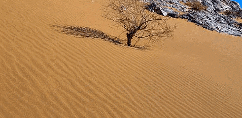 Soil types in India - UPSC