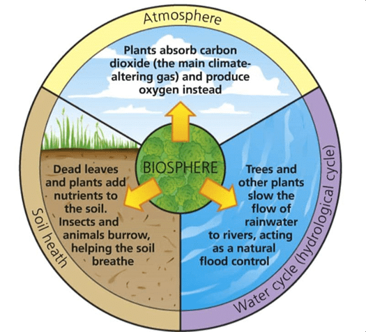 Ecology - 2 | Environment for UPSC CSE