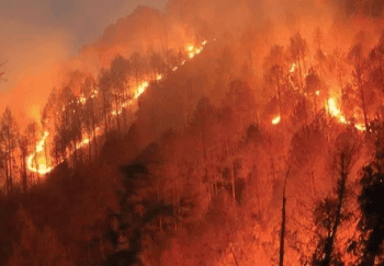 Environment and Ecology - 1 | Current Affairs & Hindu Analysis: Daily, Weekly & Monthly - UPSC