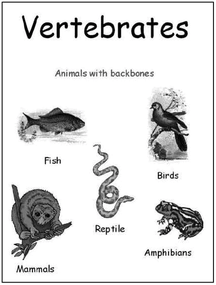 Indian Biodiversity Diverse Landscape | Environment for UPSC CSE