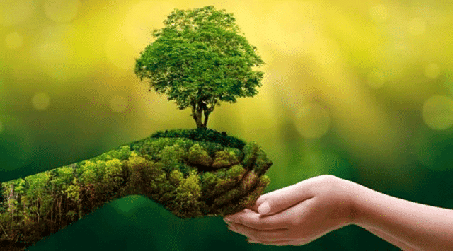 Environment and Ecology: February 2025 UPSC Current Affairs | Current Affairs & Hindu Analysis: Daily, Weekly & Monthly