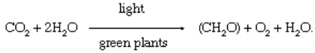 Photosynthesis | Famous Books for UPSC Exam (Summary & Tests)