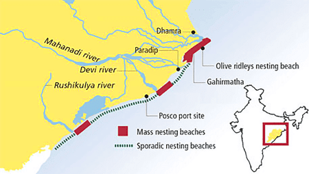 Environment and Ecology - 5 | Current Affairs & Hindu Analysis: Daily, Weekly & Monthly - UPSC