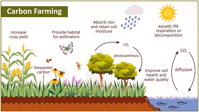 Environment and Ecology: May 2024 UPSC Current Affairs | Current Affairs & Hindu Analysis: Daily, Weekly & Monthly