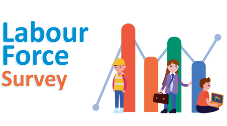 Periodic Labour Force Survey 2024
