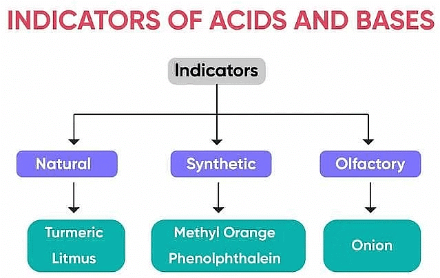 Acids, Bases & Salts | Famous Books for UPSC Exam (Summary & Tests)