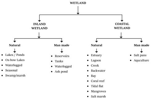 Wetlands Classification