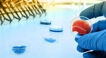 Pioneering Collaboration for Lab-Grown Fish