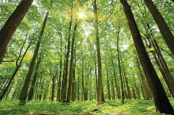 Environment and Ecology - 3 | Current Affairs & Hindu Analysis: Daily, Weekly & Monthly - UPSC