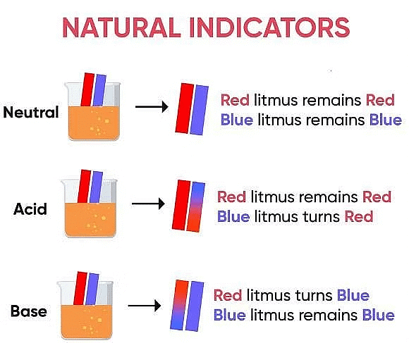Acids, Bases & Salts | Famous Books for UPSC Exam (Summary & Tests)
