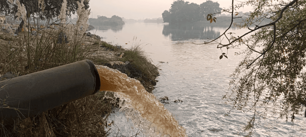 Environment and Ecology (पर्यावरण और पारिस्थितिकी): November 2024 UPSC Current Affairs | पर्यावरण (Environment) for UPSC CSE in Hindi