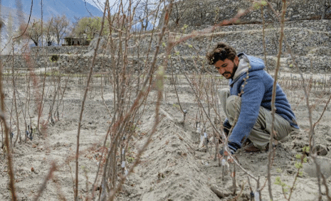 Climate-Driven Economic Losses in Asia-Pacific