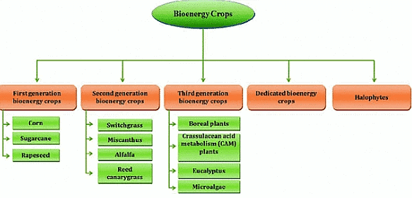 Environment & Ecology - 2 | Current Affairs & Hindu Analysis: Daily, Weekly & Monthly - UPSC
