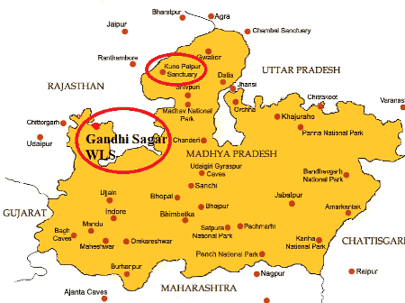 Environment and Ecology - 5 | Current Affairs & Hindu Analysis: Daily, Weekly & Monthly - UPSC