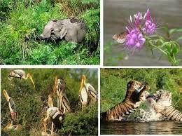 Physiography of Bihar: Location and Geological Structure - BPSC (Bihar)