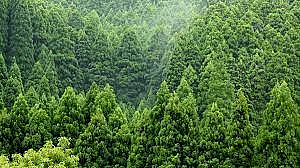 Environment and Ecology: January 2023 UPSC Daily Current Affairs | Current Affairs & Hindu Analysis: Daily, Weekly & Monthly