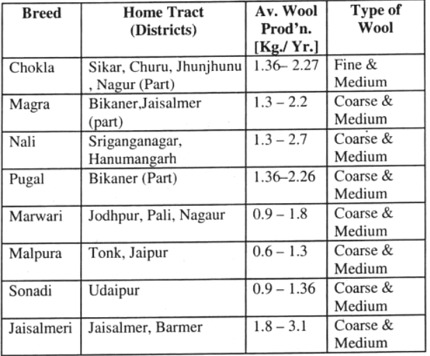 Sheep in Rajasthan | RPSC Preparation: All subjects - RPSC RAS (Rajasthan)