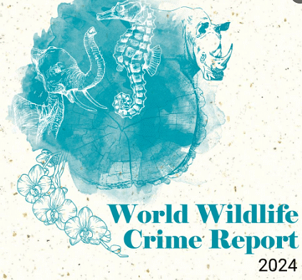 World Wildlife Crime Report 2024
