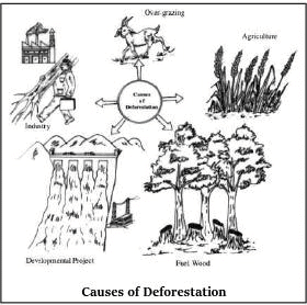 Terrestrial Ecosystem- 2 | Environment for UPSC CSE