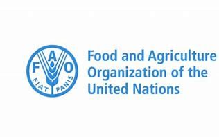 UPSC Daily Current Affairs - 4th June 2024 | Current Affairs & Hindu Analysis: Daily, Weekly & Monthly