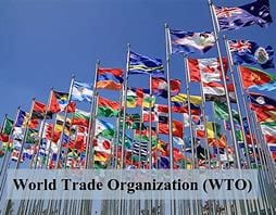 World Trade Organization (WTO)
