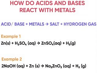 Acids, Bases & Salts | Famous Books for UPSC Exam (Summary & Tests)