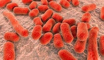 Zosurabalpin: Antibiotic against Drug-Resistant Bacteria