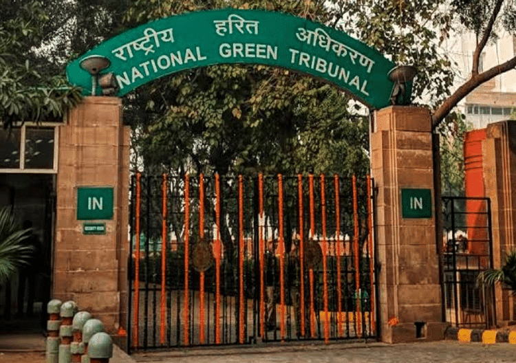 Environment and Ecology - 4 | Current Affairs & Hindu Analysis: Daily, Weekly & Monthly - UPSC