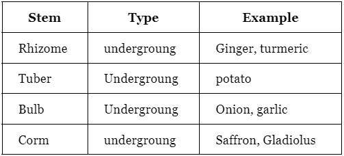 Plants Morphology | Famous Books for UPSC Exam (Summary & Tests)