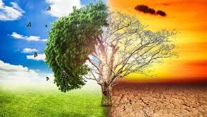 Environment and Ecology: July 2024 UPSC Current Affairs | Environment for UPSC CSE
