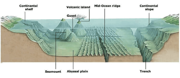 What are the Different Underwater Structures/Relief on the Ocean Floor?