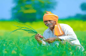 Kurukshetra Summary: November, 2024– Social Security And Welfare | Current Affairs & Hindu Analysis: Daily, Weekly & Monthly - UPSC