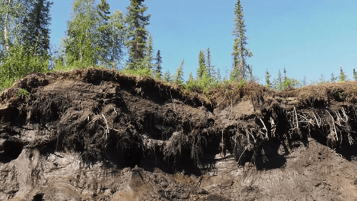 Permafrost becoming a source of CO2 instead of sink 