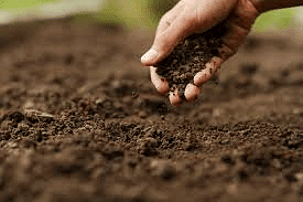 Environment and Ecology: July 2024 UPSC Current Affairs | Environment for UPSC CSE