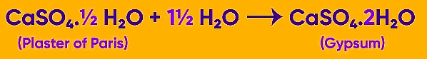 Acids, Bases & Salts | Famous Books for UPSC Exam (Summary & Tests)