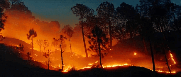 Environment & Ecology - 5 | Current Affairs & Hindu Analysis: Daily, Weekly & Monthly - UPSC