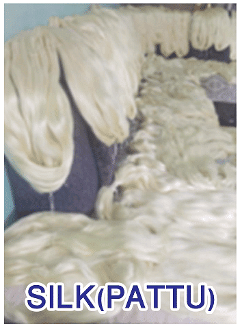 Silk (Pattu)