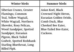 Animal Diversity Of India | Environment for UPSC CSE