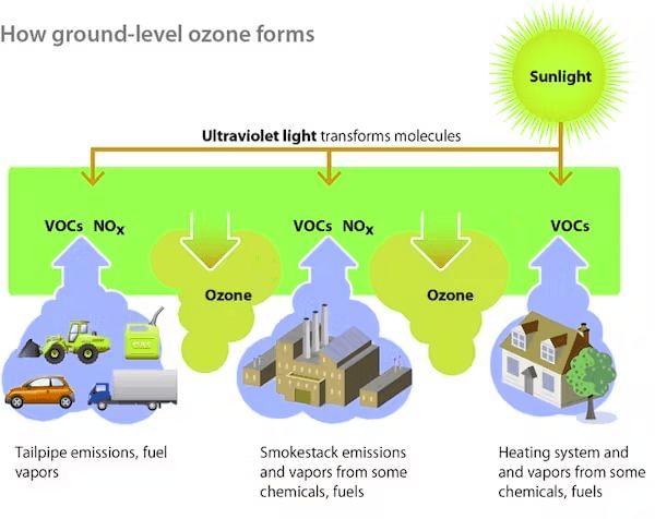 Environment and Ecology: June 2023 UPSC Current Affairs | Current Affairs & Hindu Analysis: Daily, Weekly & Monthly